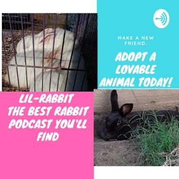 The Rabbit Podcast