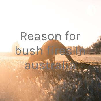 Reason for bush fires In australia