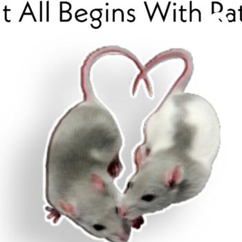 It All Begins with Rats