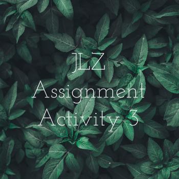JLZ Assignment Activity 3