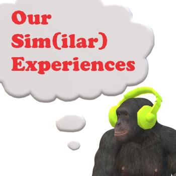 Our Sim Experiences