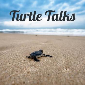Turtle Talks