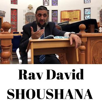 Rav David SHOUSHANA