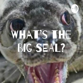 What's the Big SEAL?