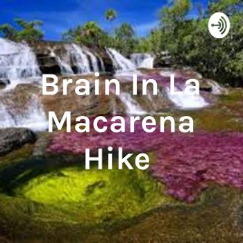 Brain In La Macarena Hike