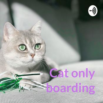 Cat only boarding - is it right for my ca