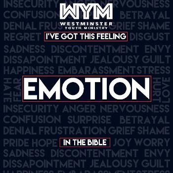 I've Got This Feeling: Emotion in the Bible