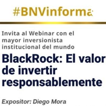 BNV Informa - Black Rock