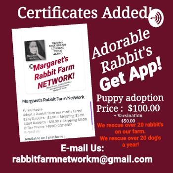 Margaret's Rabbit Farm NetWork