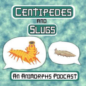Centipedes and Slugs: An Animorphs Podcast