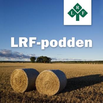 LRF Podden