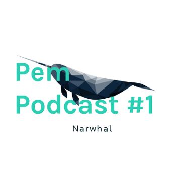 Pem Podcast #1