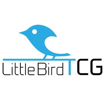 The Little Bird Experience