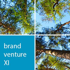 Brand Venture XI: „Konflikte, Skulpturen und Gerüchte – eine Markengeschichte in drei Akten“