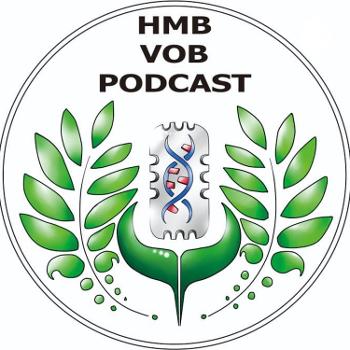 VOB Podcast