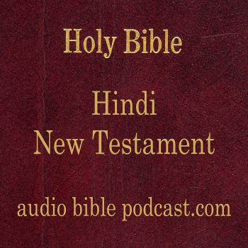 ABP - Hindi Bible - New Testament - January Start
