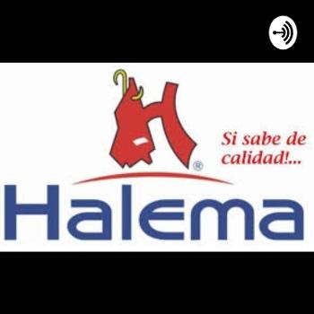 EMPRESA HALEMA S.A.C.
