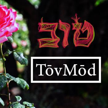 TovMod
