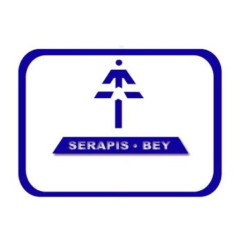2020 Serapis Bey - Río de Luz Electrónica