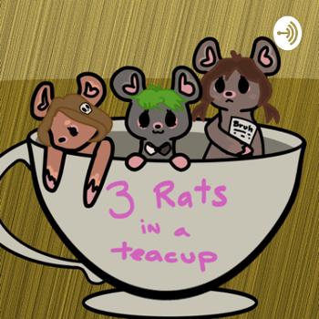 3 Rats in a Teacup