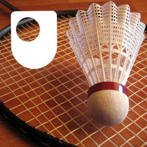 Badminton: Fitness and Training - for iPad/Mac/PC