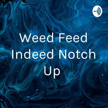 Weed Feed Indeed Notch Up