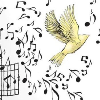 Season 1: Do Caged Birds Sing?