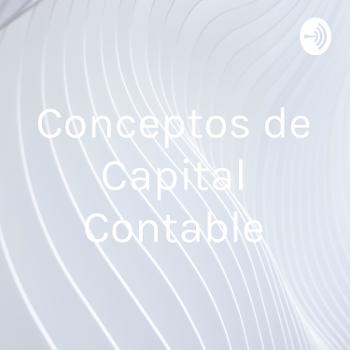 Conceptos de Capital Contable