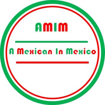 A Mexican In Mexico