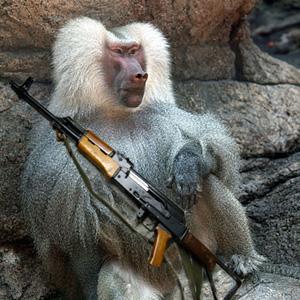 The Armed Ape