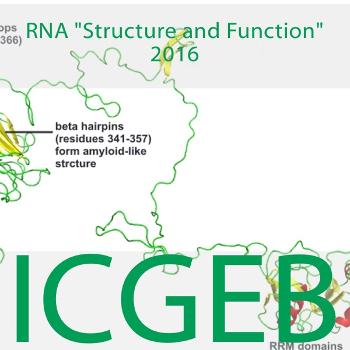 Rna Structure and Function 2016