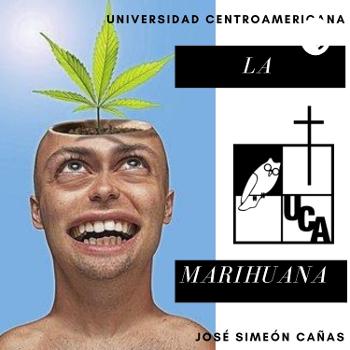 Marihuana Y Sus Efectos
