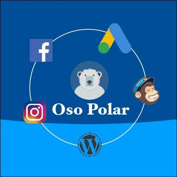 Marketing Digital - Oso Polar