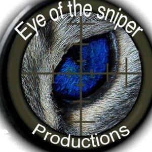 The eye of the sniper productions