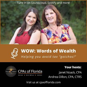 WOW - Words of Wealth by CPAs of Florida - Noack & Company