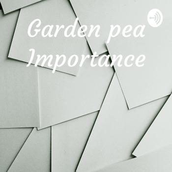 Garden pea Importance
