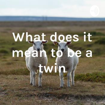What does it mean to be a twin