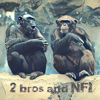2 bros and NFI