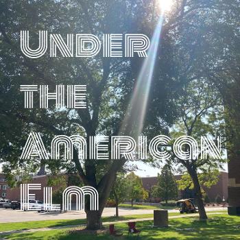 Under the American Elm