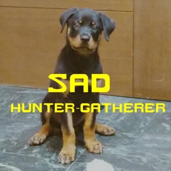 Sad Hunter-gatherer悲傷的採集者後代