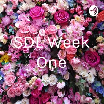 SDL Week One