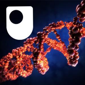 DNA, RNA and protein formation - for iPad/Mac/PC