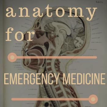 Anatomy For Emergency Medicine