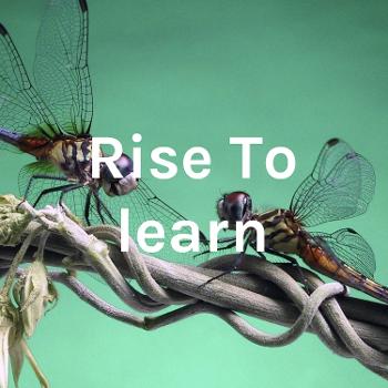 Rise To learn