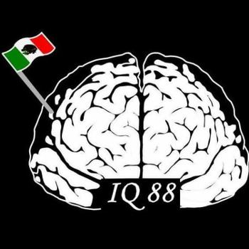 IQ de 88