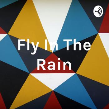 Fly In The Rain