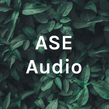 ASE Audio