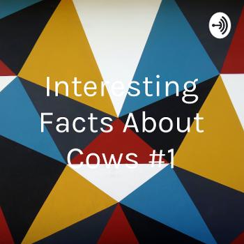 Interesting Facts About Cows #1