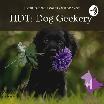 HDT: Dog Geekery