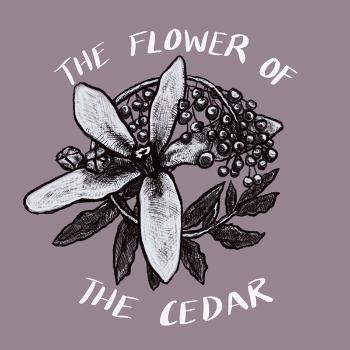 The Flower of the Cedar